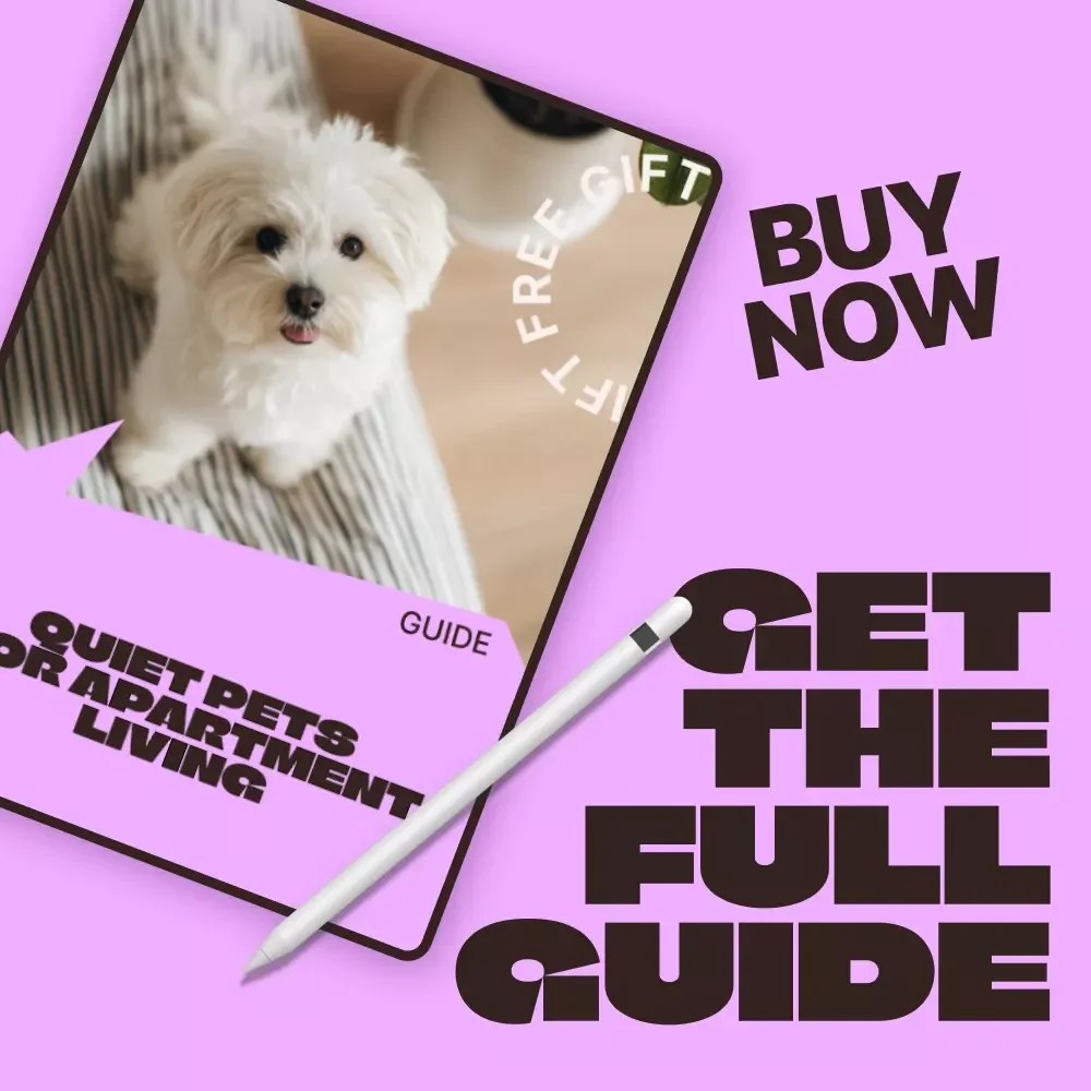 Quiet Pets for Apartment Living | Easy Guide to Quiet Pets for Apartments, Low-Noise Pet Choices, Apartment-Friendly Animals