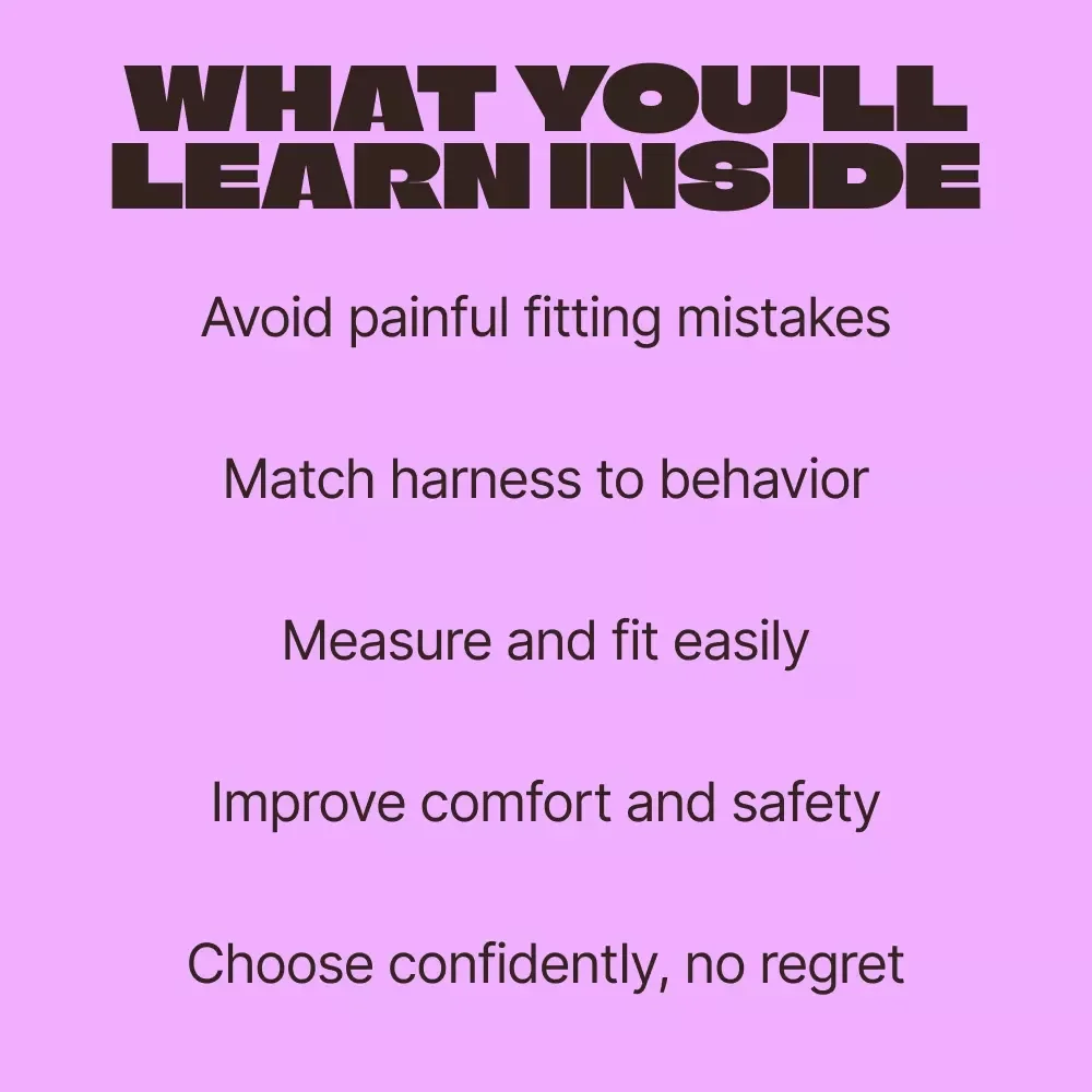The Perfect Harness for Your Pet | Ebook Guide on How to Choose a Pet Harness | Stress-Free Fit, Comfort & Walking Confidence