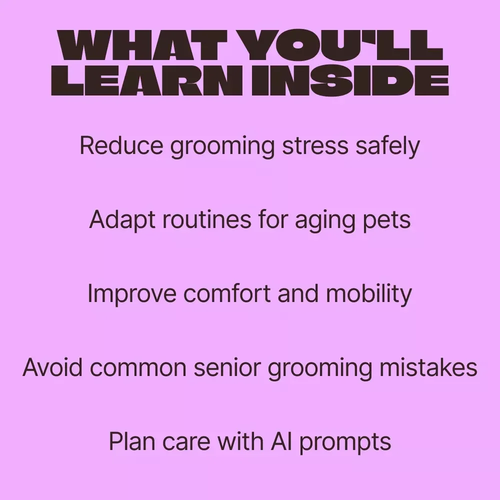 Gentle Grooming for Golden Years, Caring With Ease – Senior Pet Grooming Guide for Understanding Senior Pet Grooming Needs