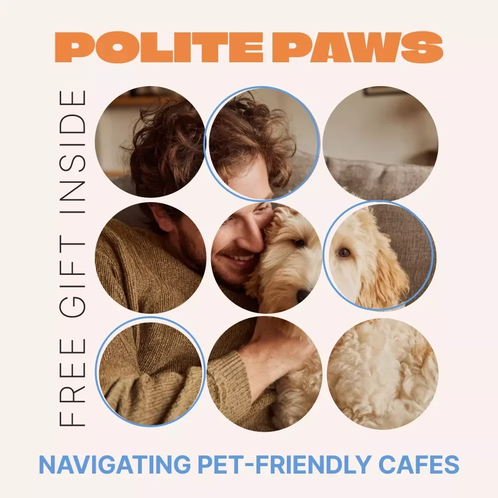 Polite Paws: Navigating Pet-Friendly Cafes – A Practical Guide to Pet Friendly Cafes Etiquette for Well-Behaved Café Visits