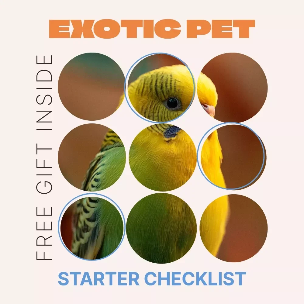 Exotic Pet Starter Checklist | Ultimate Beginner Guide for Exotic Pets for Beginners | Easy Care, Habitat & Feeding Setup