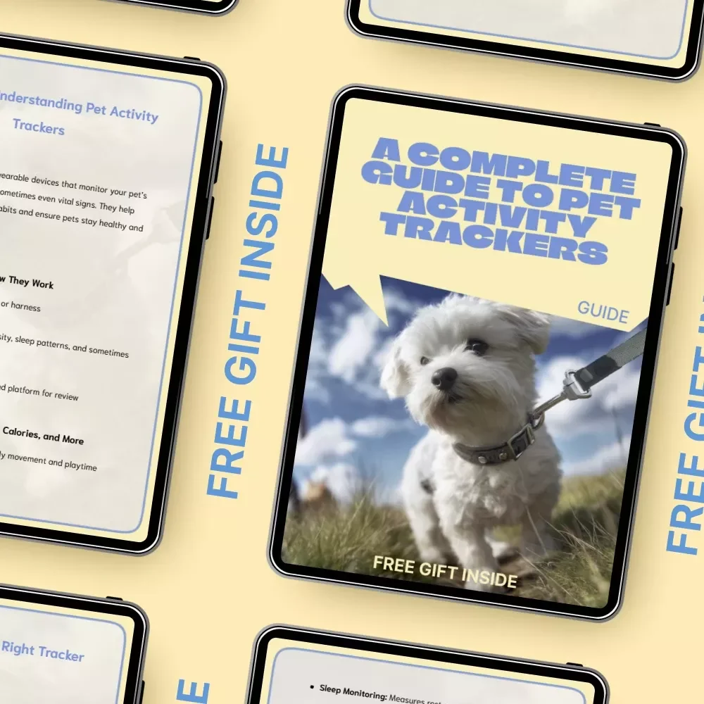 A Complete Guide to Pet Activity Trackers | Digital Guide for Choosing & Using a Pet Activity Tracker