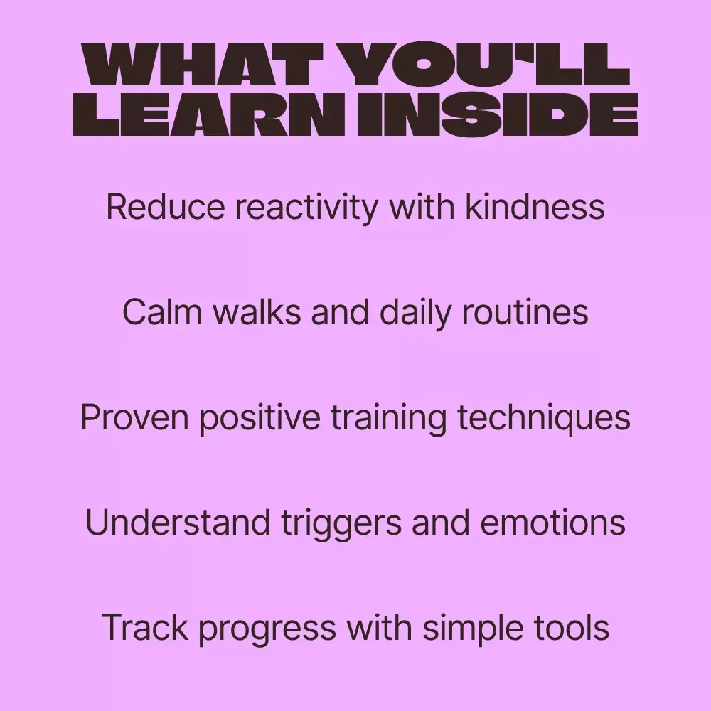 The Gentle Approach to Reactive Pets – Calm Behavior Guide for Stress-Free Training | reactive pets help Digital Download