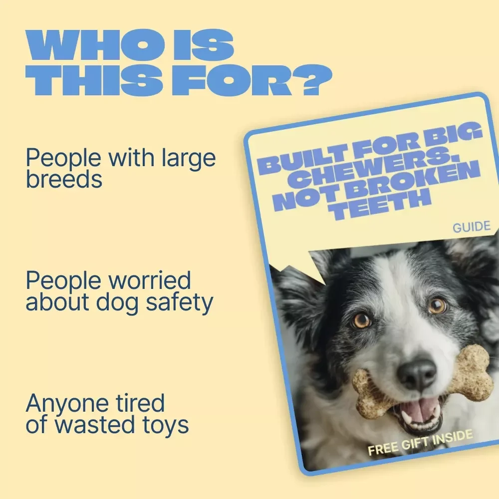 Built for Big Chewers, Not Broken Teeth – Practical Guide to Safe Toys for Heavy Chewers, Smart Toy Selection, and Injury Prevention for Power Chewing Dogs