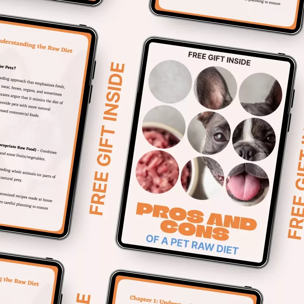 Pros and Cons of a Pet Raw Diet – Practical eBook Guide to raw diet pros and cons pets, Feeding Decisions, Safety & Nutrition