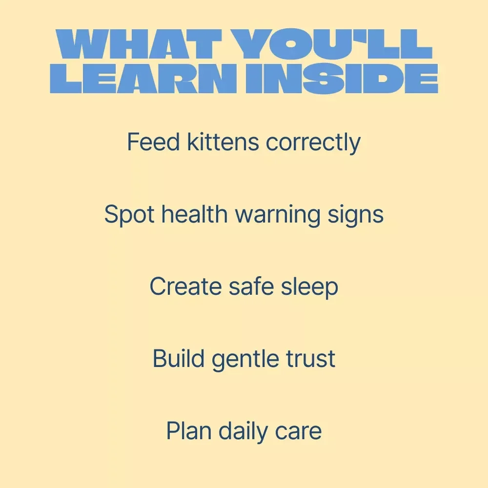 Tiny Paws, Big First Weeks – Kitten Care First 8 Weeks eBook Guide for Newborn Kittens, Feeding, Health & Early Development