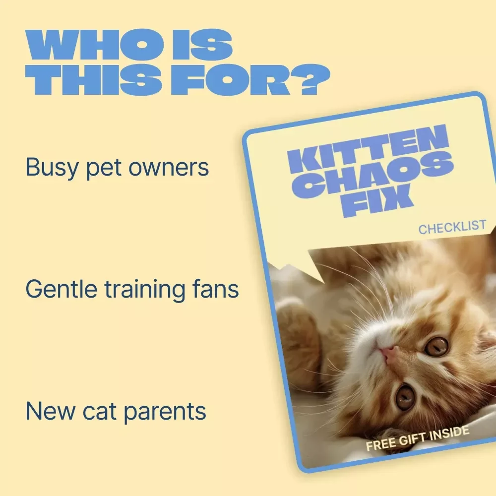 Kitten Chaos Fix | Checklist for common kitten behavior problems | Instant Digital Download for New Cat Parents