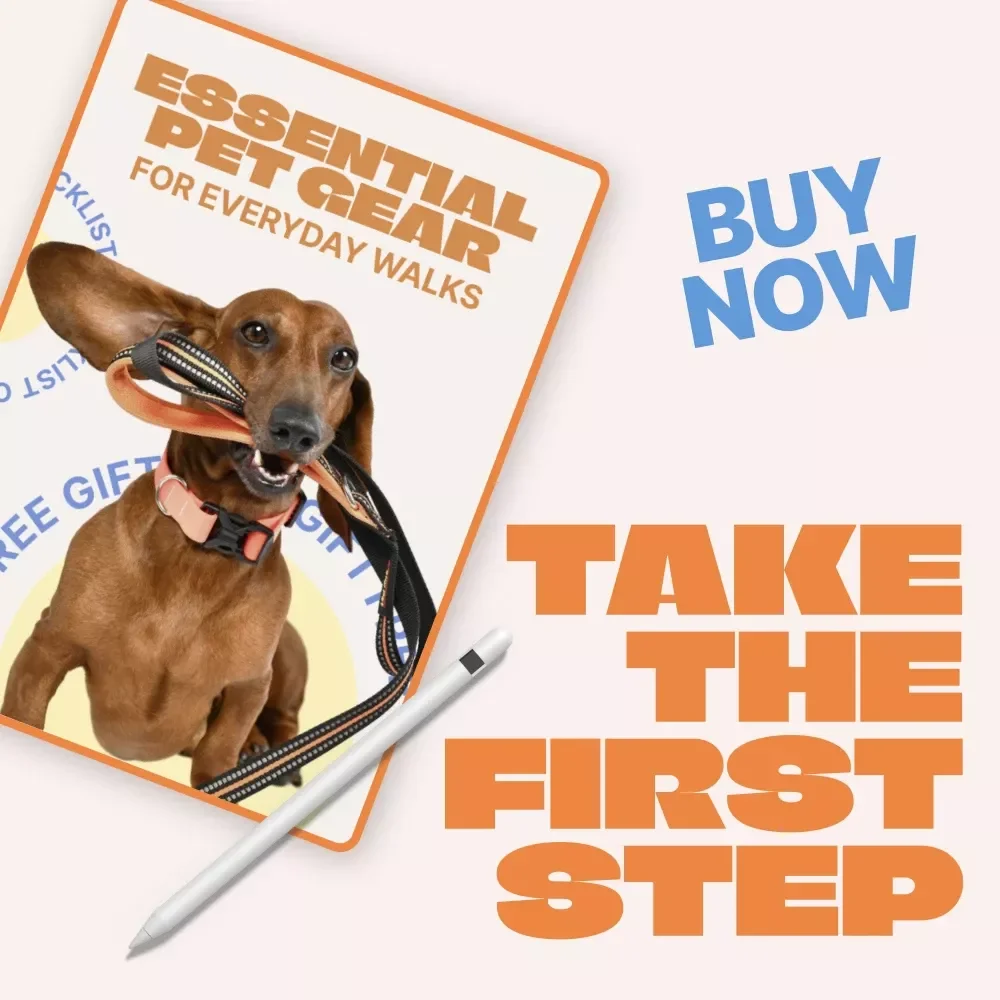 Essential Pet Gear for Everyday Walks | Printable Checklist for Stress-Free Daily Dog Walks | Pet Gear for Everyday Walks Guide