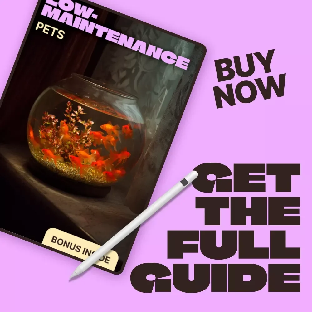 Low-Maintenance Pets | A Practical Guide to the Best Low Maintenance Pets for Busy Lives & Small Spaces