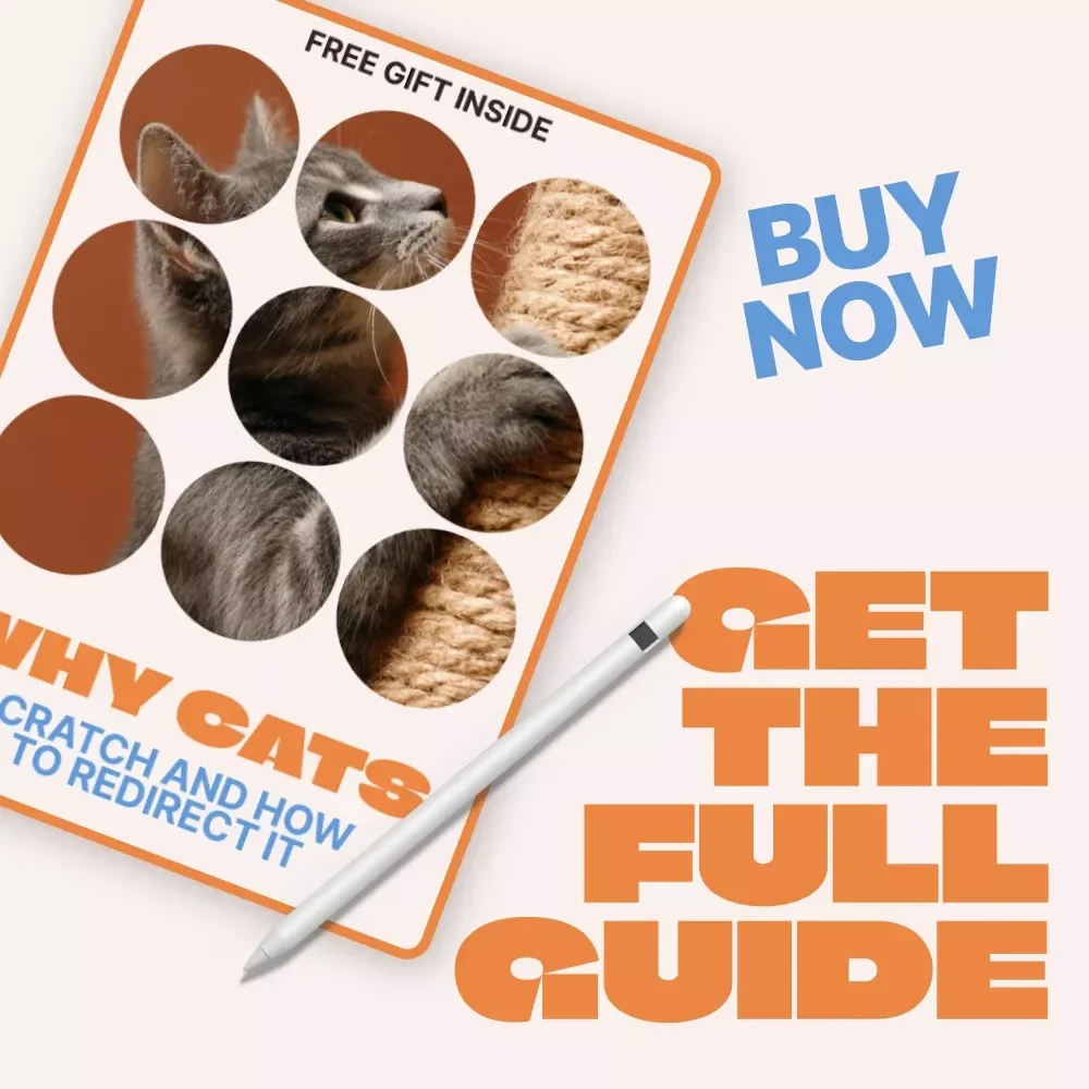 Why Cats Scratch and How to Redirect It | Practical Cat Behavior eBook Explaining Why Cats Scratch Furniture & How to Stop It