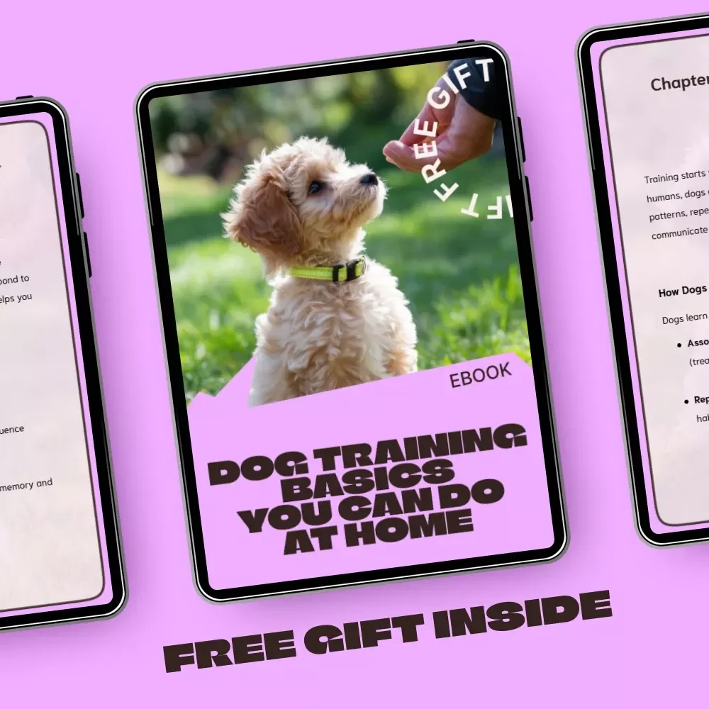 Dog Training Basics You Can Do at Home | Easy Step-by-Step Ebook for Beginners | dog training basics at home