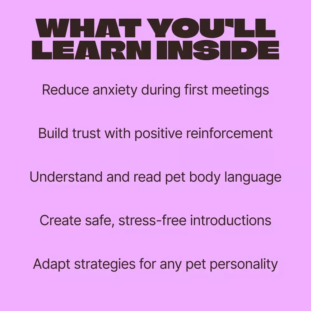 Friendly Encounters: Introducing Pets to Strangers | Calm, Confident Socialization eBook Guide