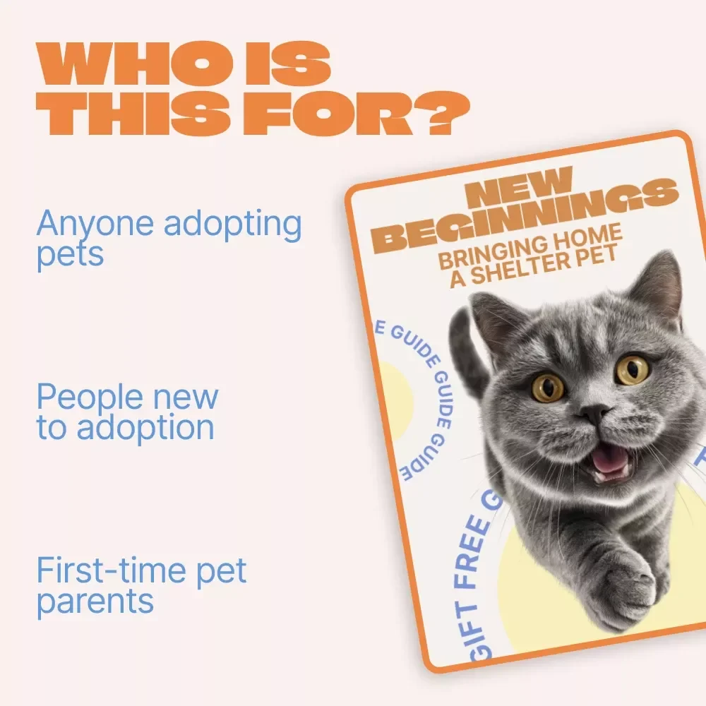 New Beginnings: Bringing Home a Shelter Pet – Adoption Guide for First-Time Pet Parents | adopting pet from shelter expectations