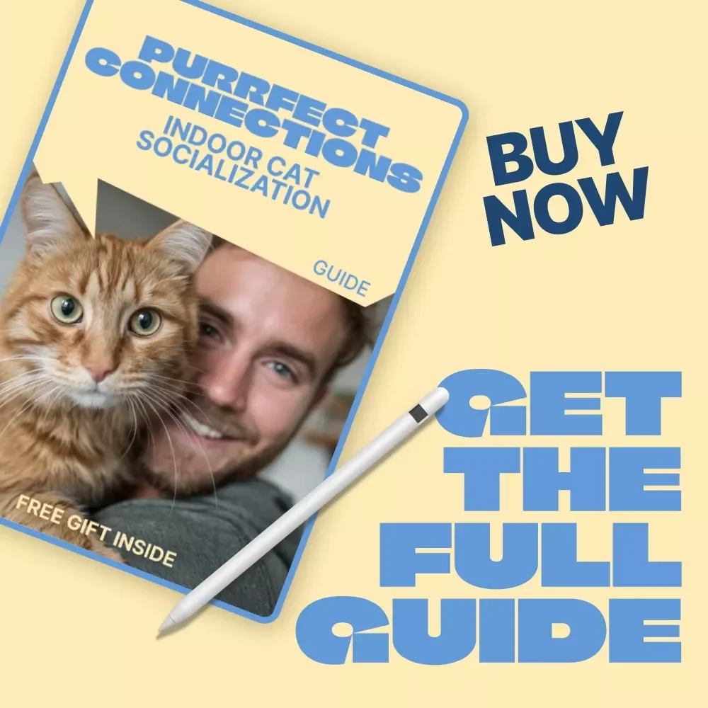 Purrfect Connections: Indoor Cat Socialization – Practical Guide for Confident, Happy Cats