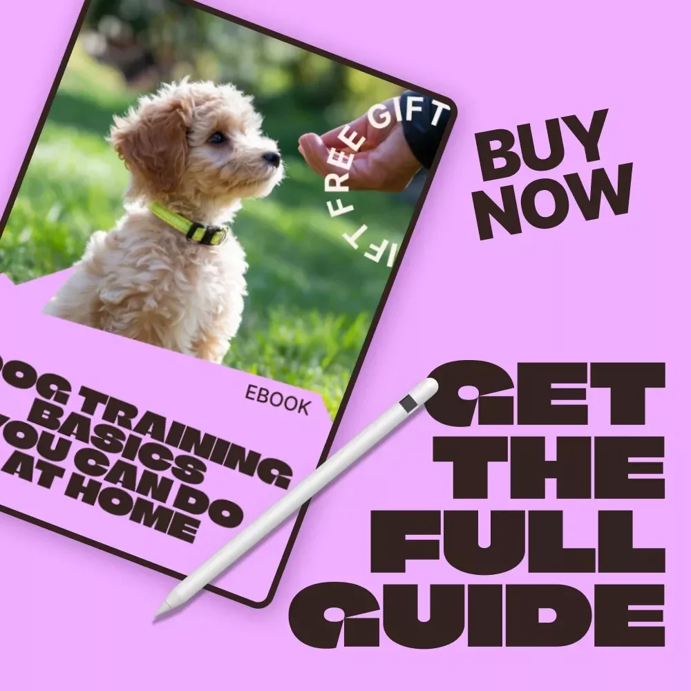 Dog Training Basics You Can Do at Home | Easy Step-by-Step Ebook for Beginners | dog training basics at home