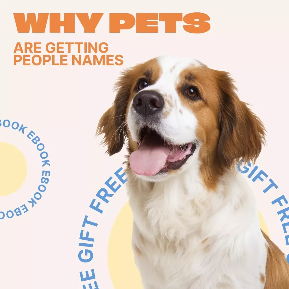 Why Pets Are Getting People Names – A Fun, Insightful Ebook on the Human Names for Pets Trend