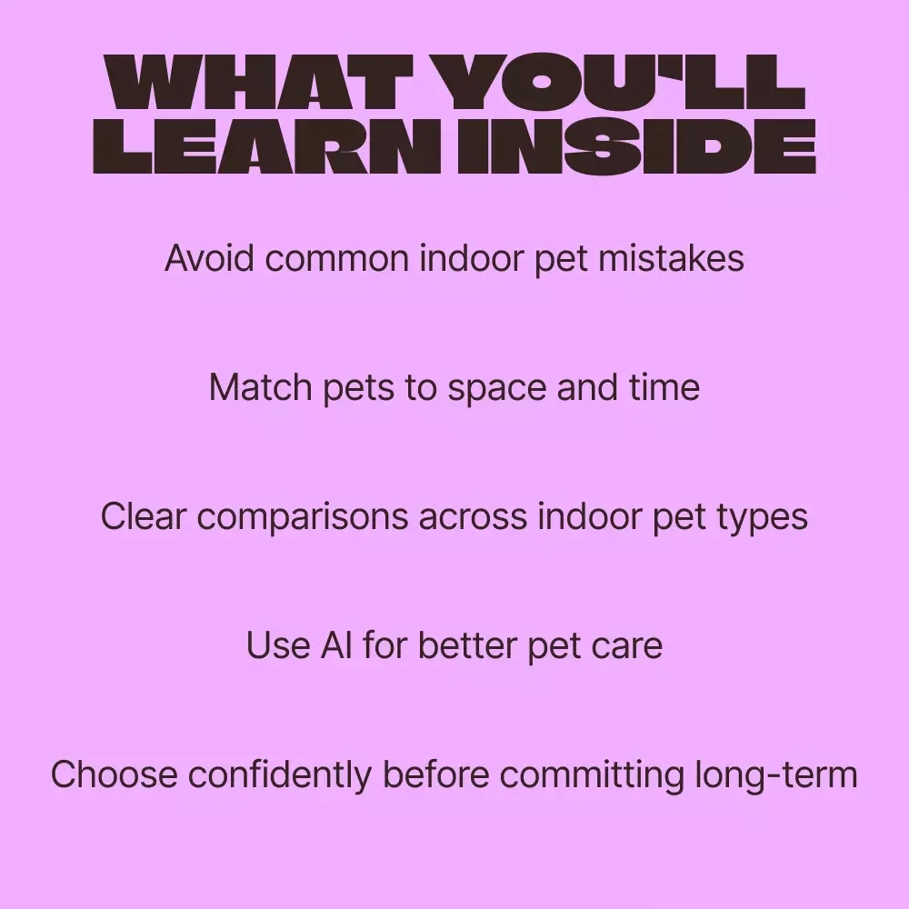 Indoor Pets Only: Practical Comparison – A Smart Indoor Pets Only Comparison Guide for Small Spaces, Busy Lives, and Confident First-Time Owners