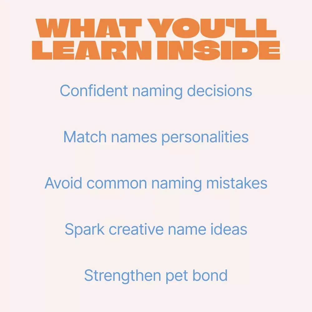 Calling Your Pet: Cute vs. Classic – A Smart Guide to Choosing Cute vs Serious Pet Names with Confidence