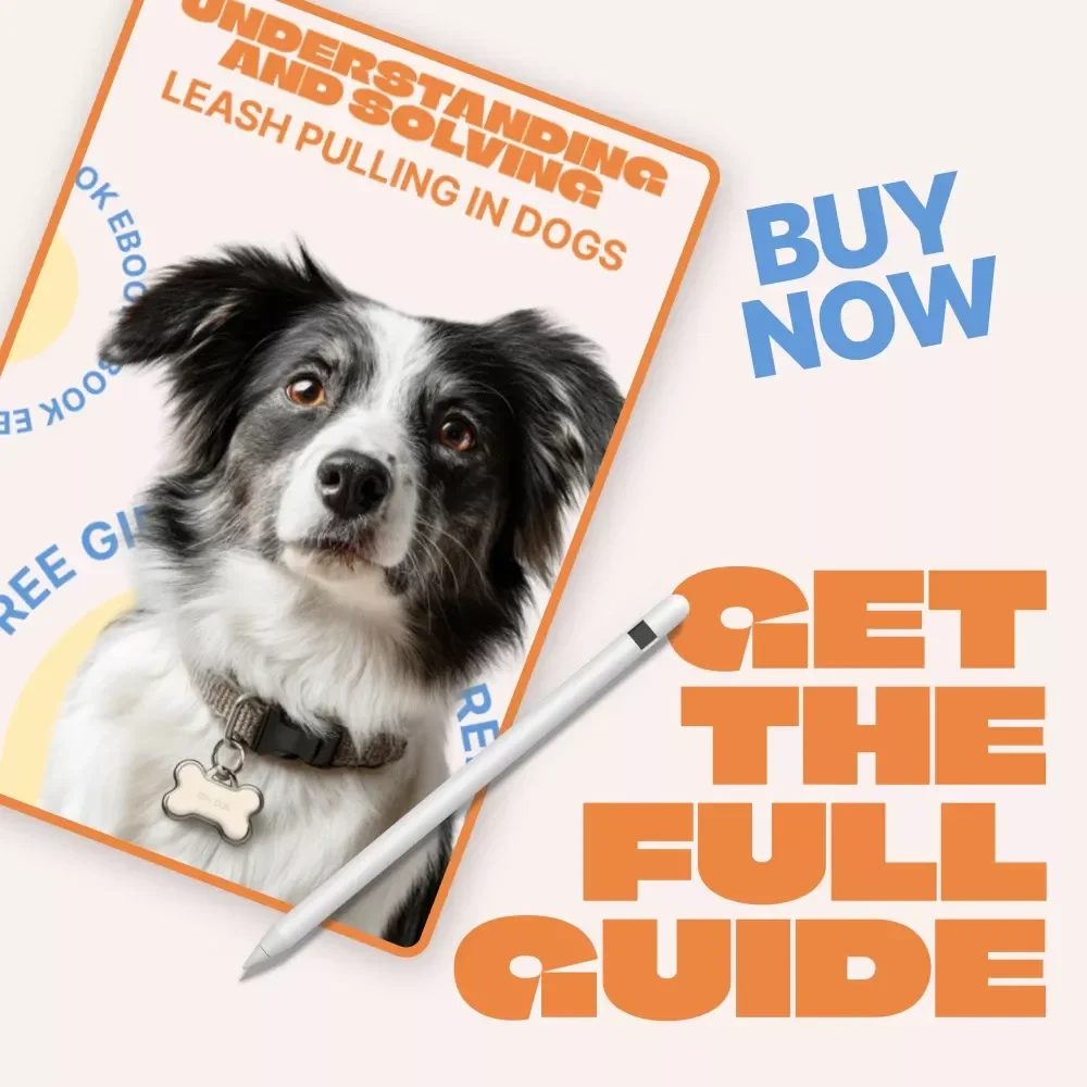Understanding and Solving Leash Pulling in Dogs – Practical Training eBook for Calm Walks | Learn why dogs pull on leash