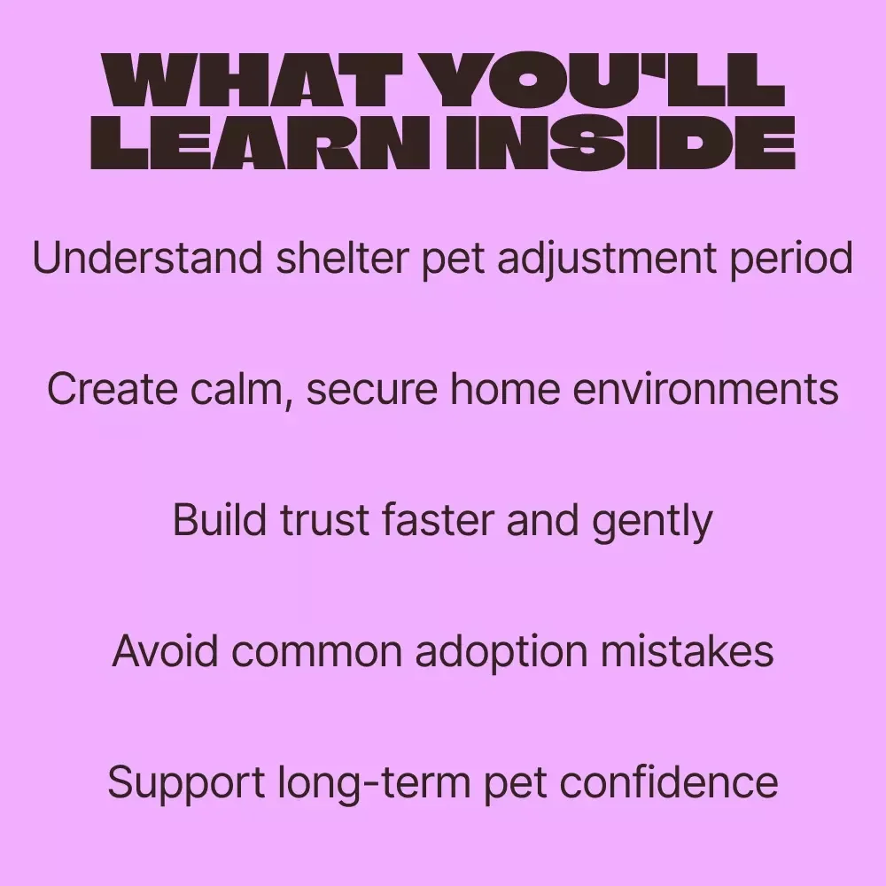 Home at Last: Helping Shelter Pets Settle In – Practical Guide for the Shelter Pet Adjustment Period, New Rescue Pet Transition, Trust & Bonding Support