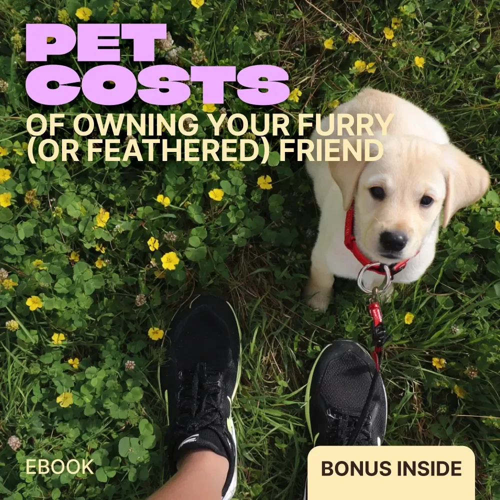 Pet Costs of Owning Your Furry (or Feathered) Friend – Practical eBook Guide to the Cost of Owning Different Pets, Smart Budgeting, and Real-Life Pet Expense Planning