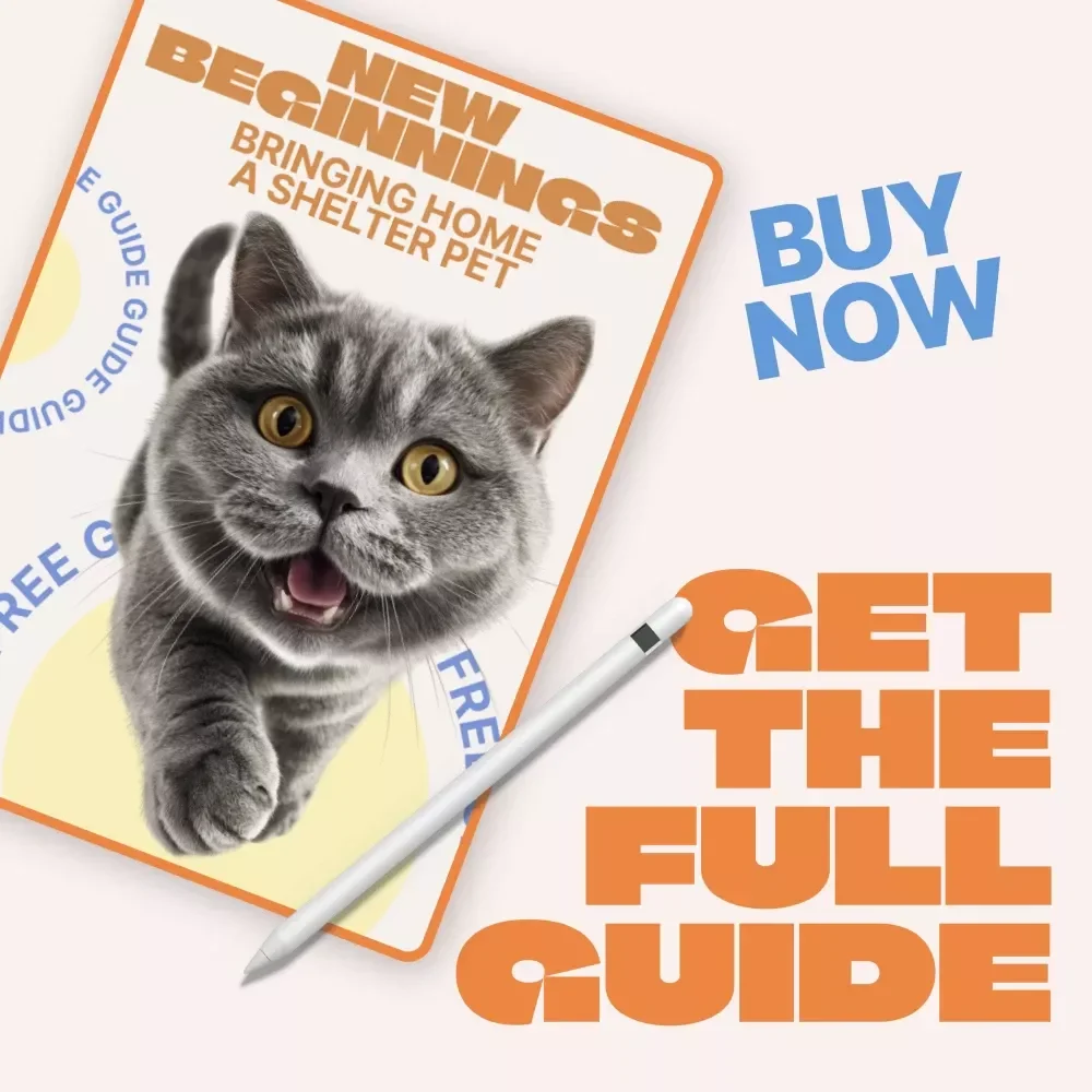 New Beginnings: Bringing Home a Shelter Pet – Adoption Guide for First-Time Pet Parents | adopting pet from shelter expectations