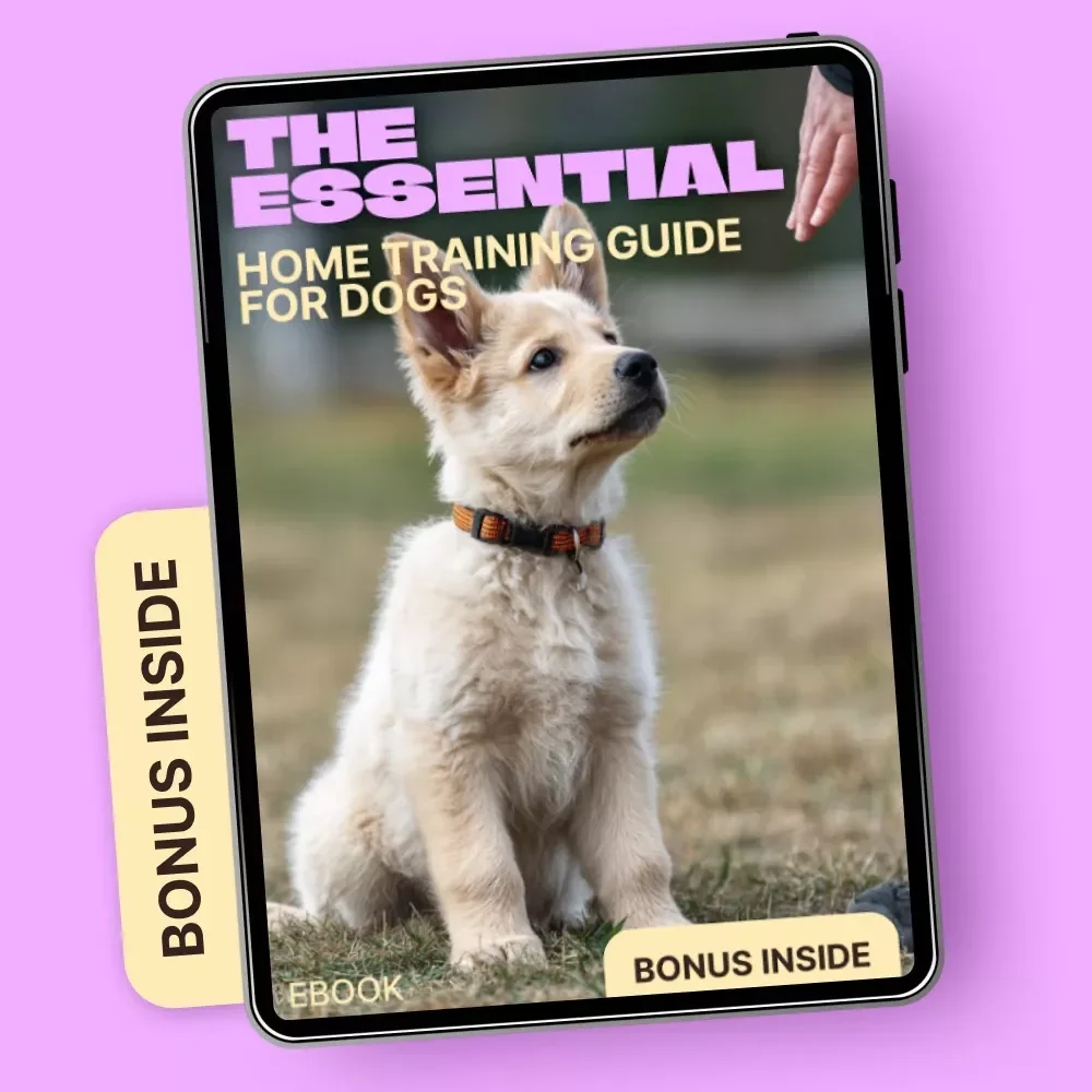 The Essential Home Training Guide for Dogs | eBook on How to Teach Sit Stay Come | Positive Dog Training for Beginners
