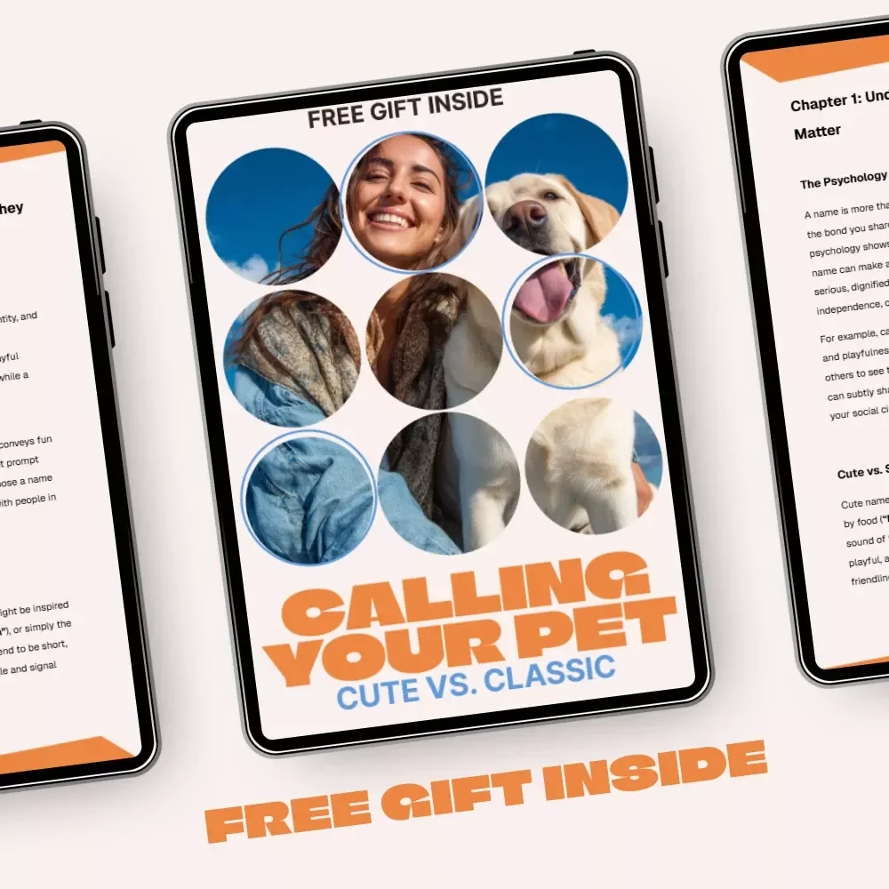 Calling Your Pet: Cute vs. Classic – A Smart Guide to Choosing Cute vs Serious Pet Names with Confidence