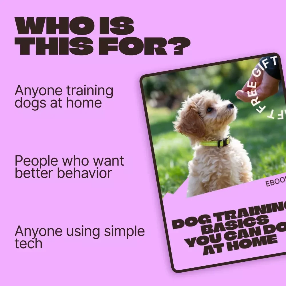 Dog Training Basics You Can Do at Home | Easy Step-by-Step Ebook for Beginners | dog training basics at home