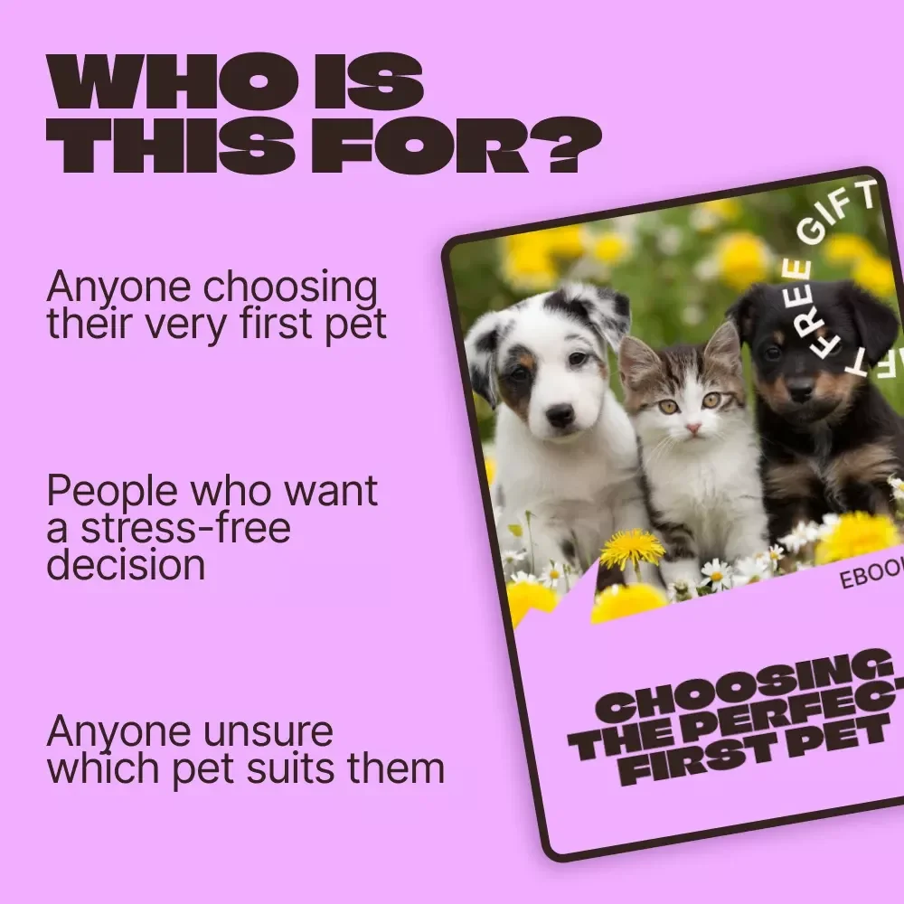 Choosing the Perfect First Pet – A Beginner’s eBook Guide to Finding the Best Pet for First Time Owners