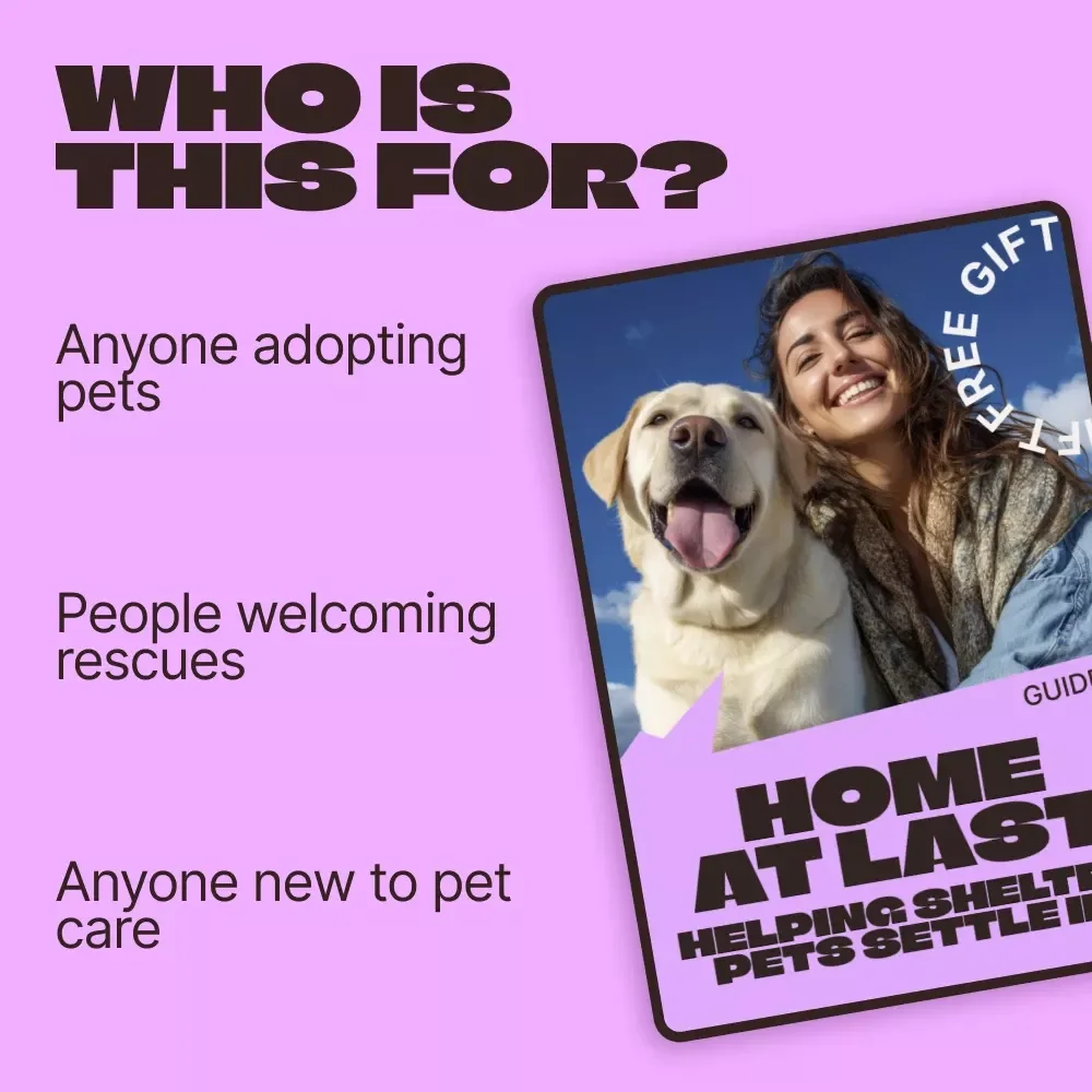 Home at Last: Helping Shelter Pets Settle In – Practical Guide for the Shelter Pet Adjustment Period, New Rescue Pet Transition, Trust & Bonding Support