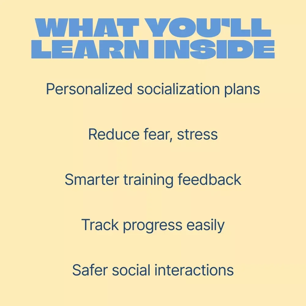 Smart Socialization: AI Tips for Happy Pets – Practical Ebook & AI Socialization Plan for Pets for Confident, Calm Companions