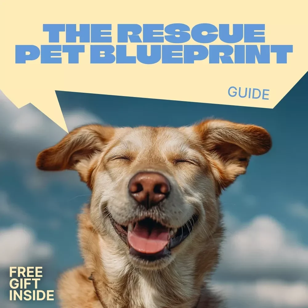The Rescue Pet Blueprint for Lasting Harmony – Digital Guide to Understanding & Solving Rescue Pet Behavior Issues with Positive Training & AI Support