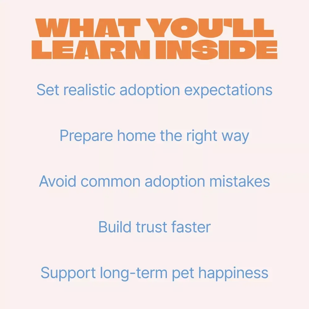 New Beginnings: Bringing Home a Shelter Pet – Adoption Guide for First-Time Pet Parents | adopting pet from shelter expectations
