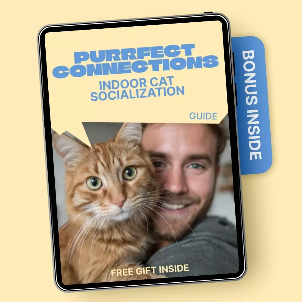 Purrfect Connections: Indoor Cat Socialization – Practical Guide for Confident, Happy Cats