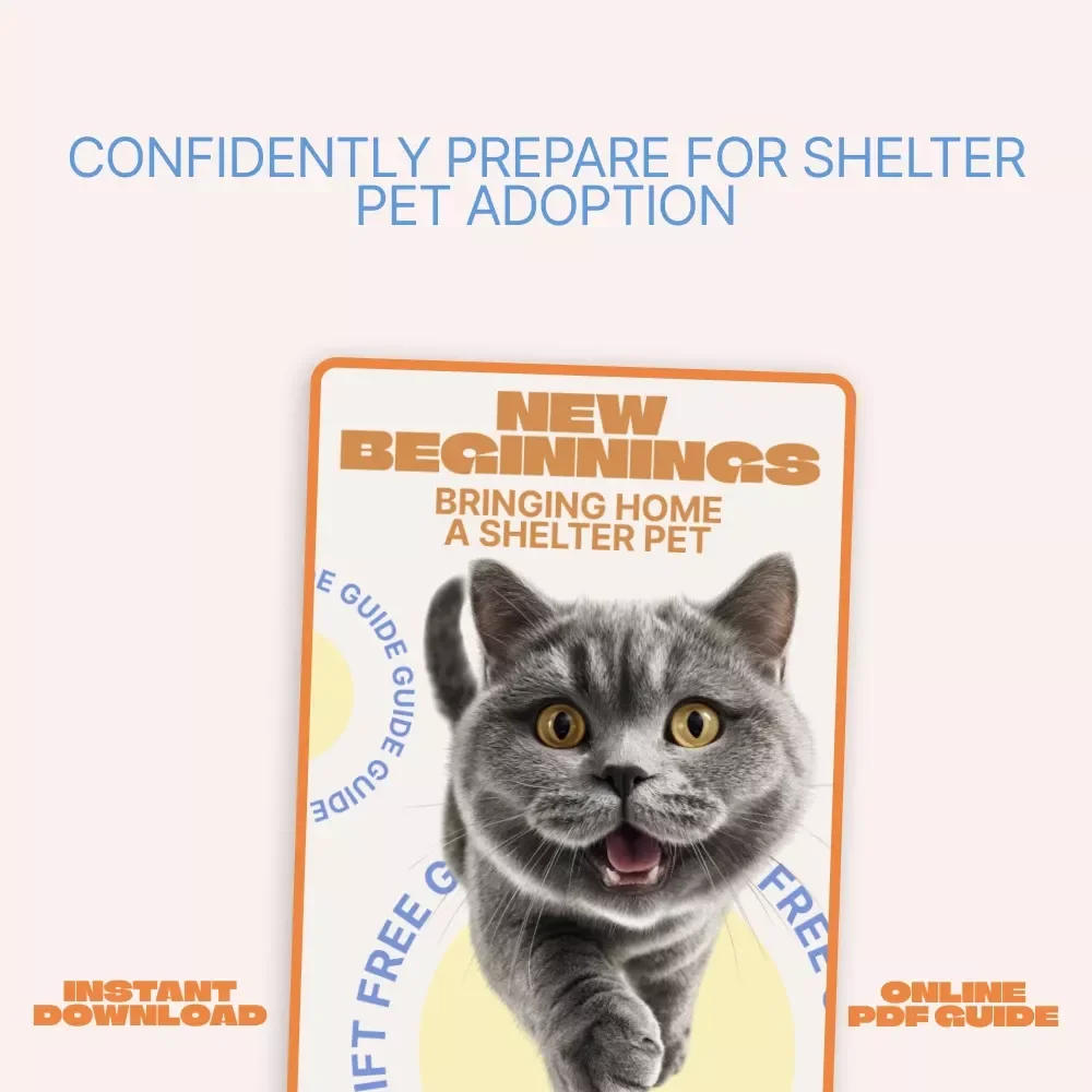 New Beginnings: Bringing Home a Shelter Pet – Adoption Guide for First-Time Pet Parents | adopting pet from shelter expectations