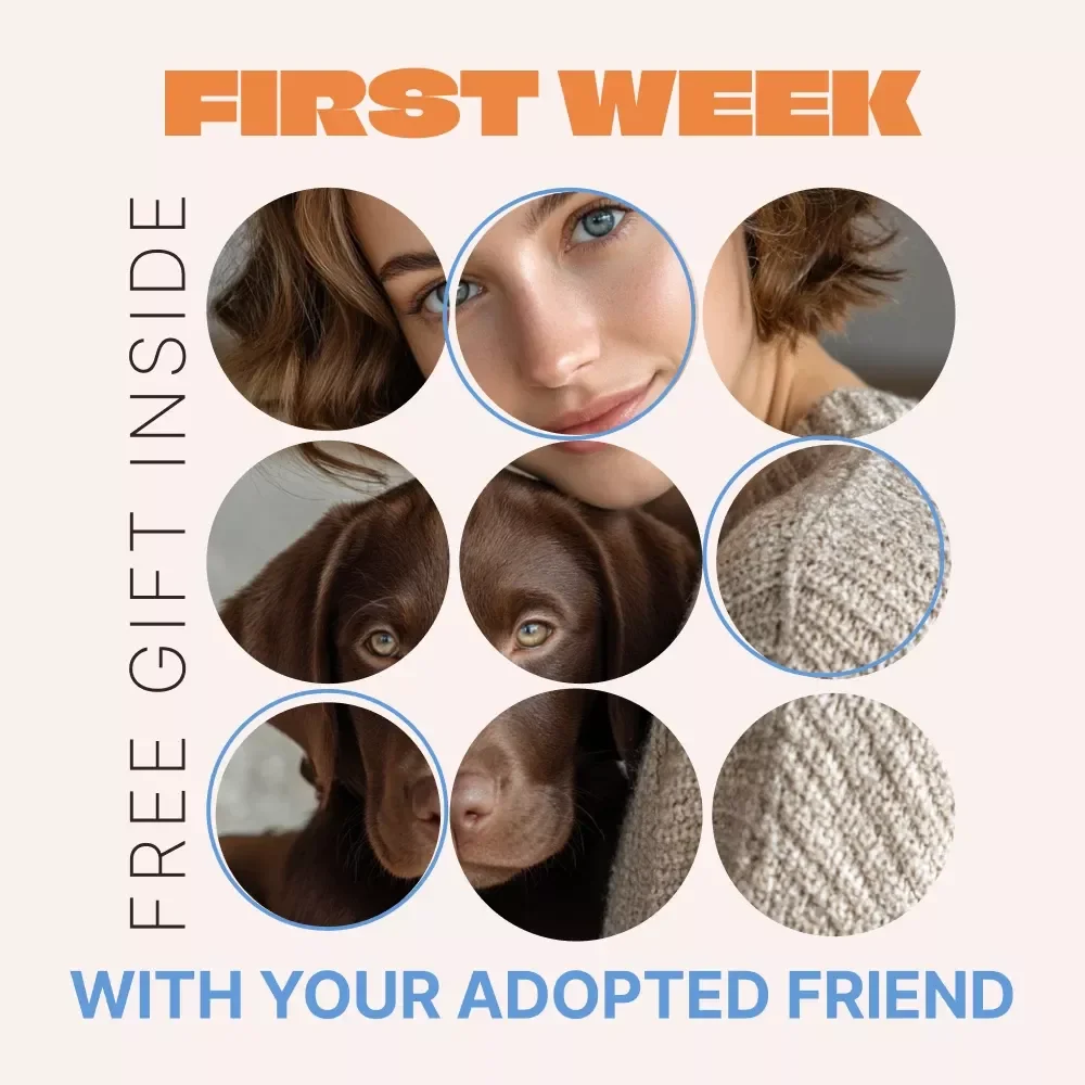 First Week with Your Adopted Friend – Complete Guide for the first week with adopted pet, New Pet Transition, Bonding & AI-Powered Care Planning