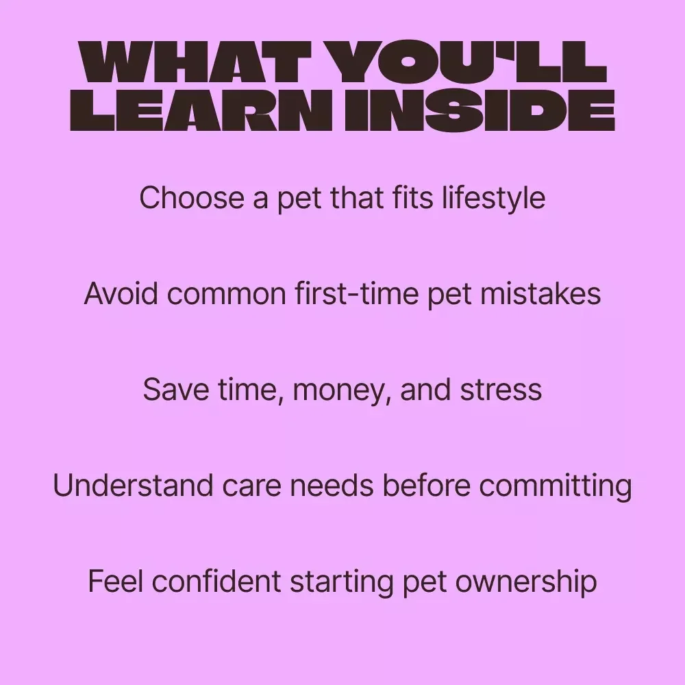 Choosing the Perfect First Pet – A Beginner’s eBook Guide to Finding the Best Pet for First Time Owners