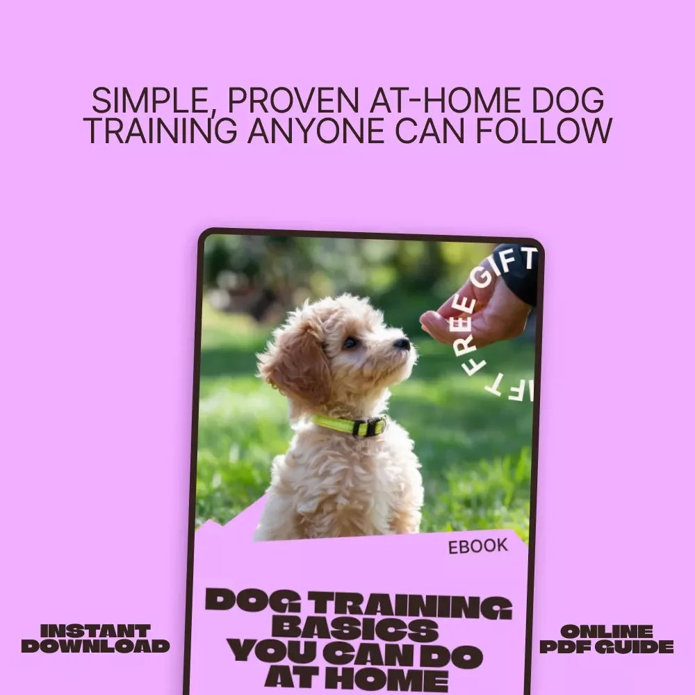 Dog Training Basics You Can Do at Home | Easy Step-by-Step Ebook for Beginners | dog training basics at home