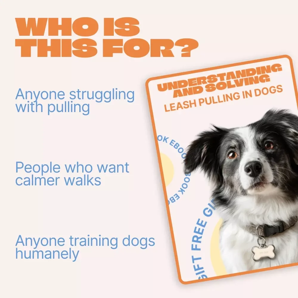 Understanding and Solving Leash Pulling in Dogs – Practical Training eBook for Calm Walks | Learn why dogs pull on leash