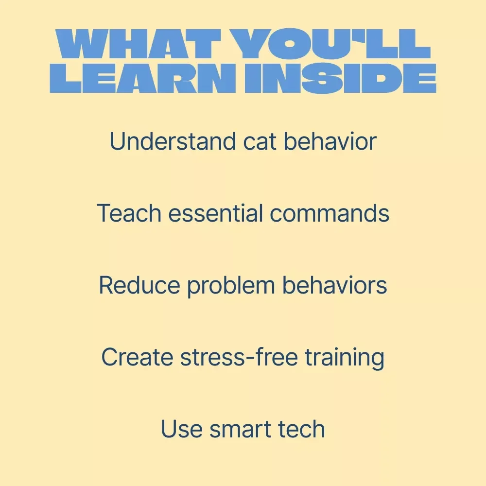 Cat Training Basics You Can Do at Home | Easy Step-by-Step Ebook Guide for Beginners | Practical Cat Training Basics at Home for Happy, Well-Behaved Cats