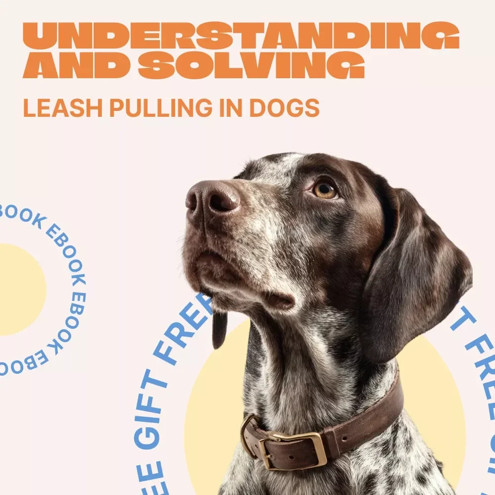 Understanding and Solving Leash Pulling in Dogs – Practical Training eBook for Calm Walks | Learn why dogs pull on leash