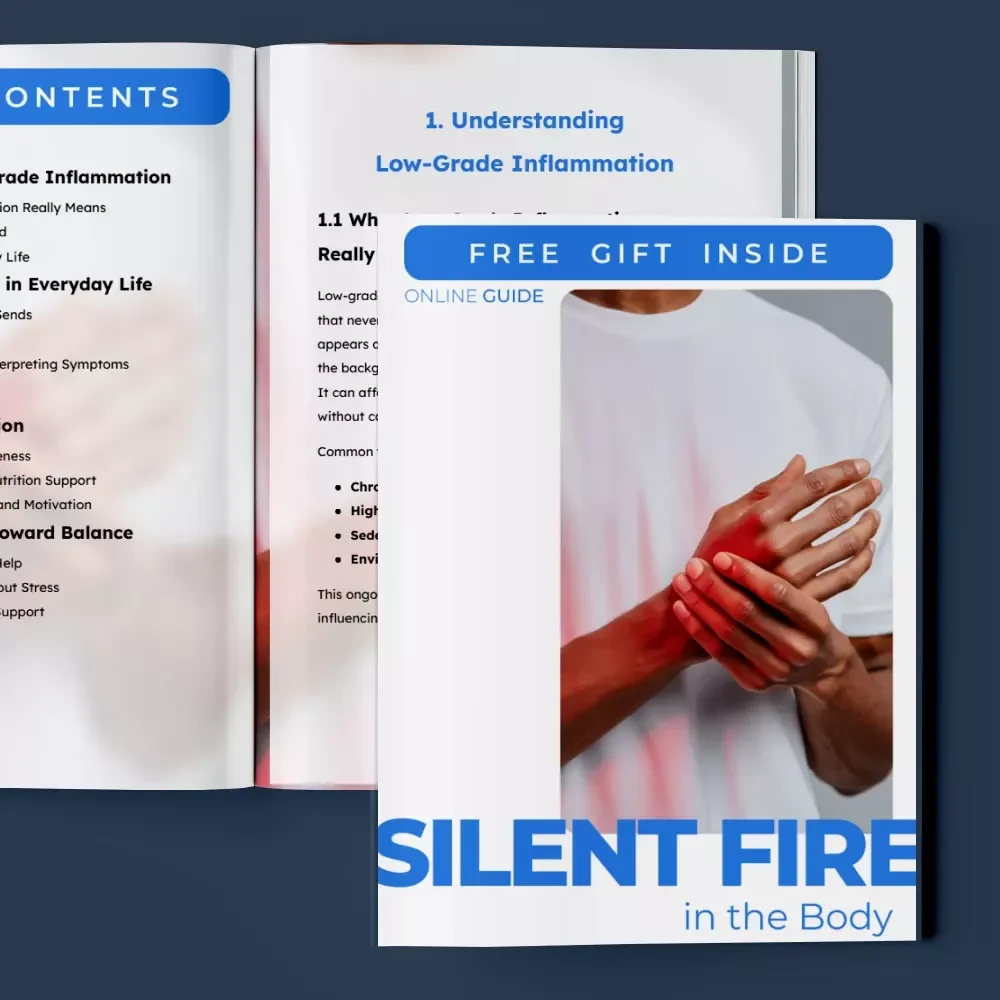 Silent Fire in the Body – A Practical Guide to Understanding Low-Grade Inflammation, Everyday Symptoms, and AI Prompts for Balance & Well-Being (Digital Download)