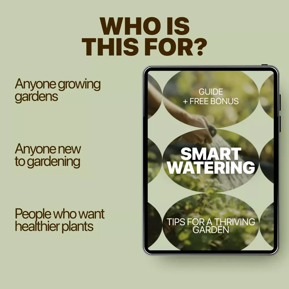 Rain or Shine: Smart Watering Tips for a Thriving Garden | Practical Guide for Watering Garden After Rain, Healthy Soil & Smarter Irrigation