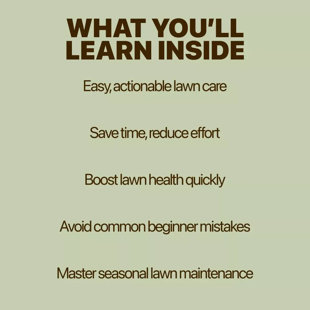 The Beginner’s Lawn: Growing Green Without the Guesswork – Lawn Care for Beginners Guide