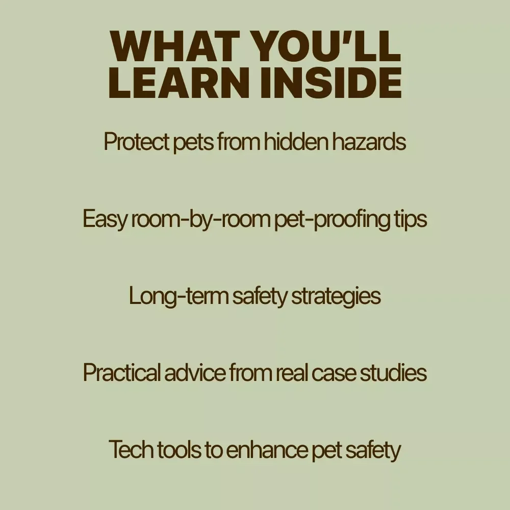 A Home That Lets Pets Explore Safely: The Ultimate Guide to Pet Proofing Your Living Space