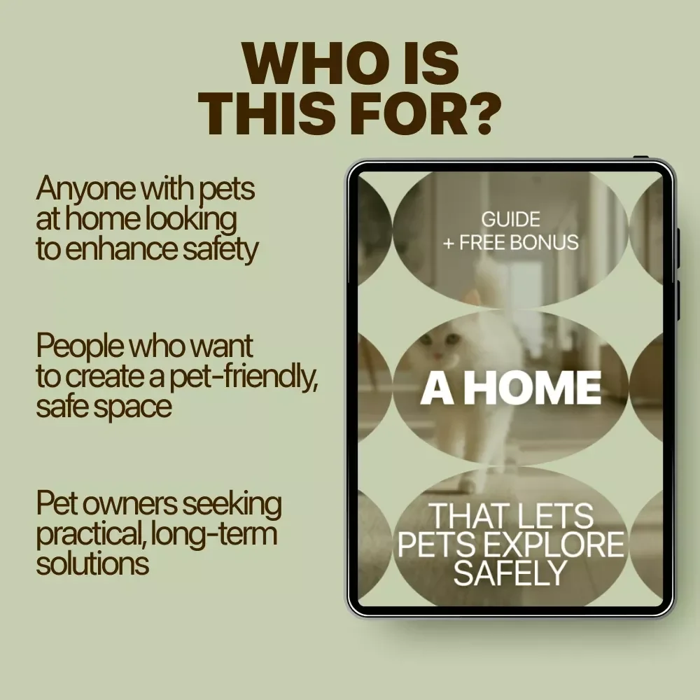 A Home That Lets Pets Explore Safely: The Ultimate Guide to Pet Proofing Your Living Space