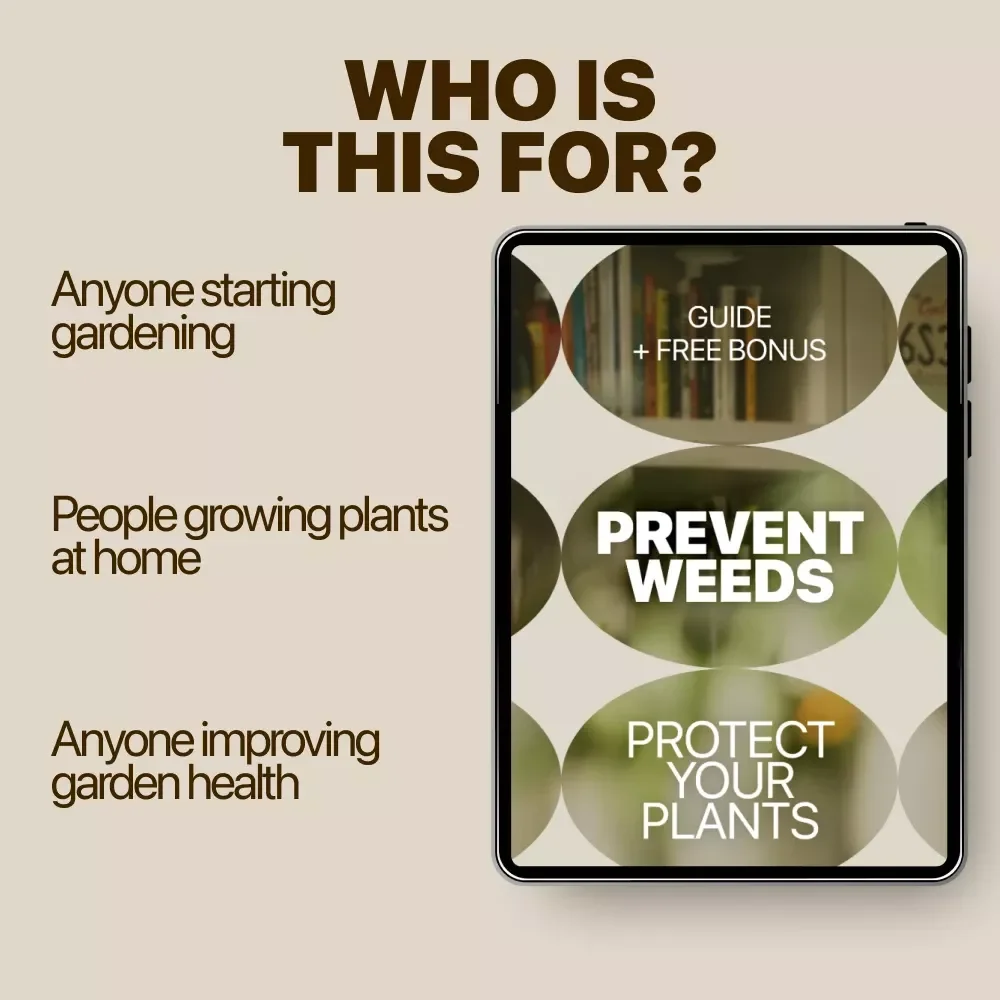 Prevent Weeds, Protect Your Plants – Practical Garden Weed Growth Prevention Guide for Healthier Beds, Smarter Planting & Long-Term Weed Control