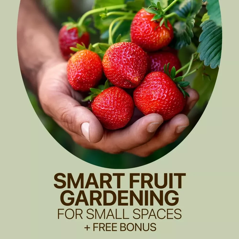 Smart Fruit Gardening for Small Spaces – Practical eBook Guide with Small Garden Fruit Ideas for Balconies, Patios & Tiny Yards