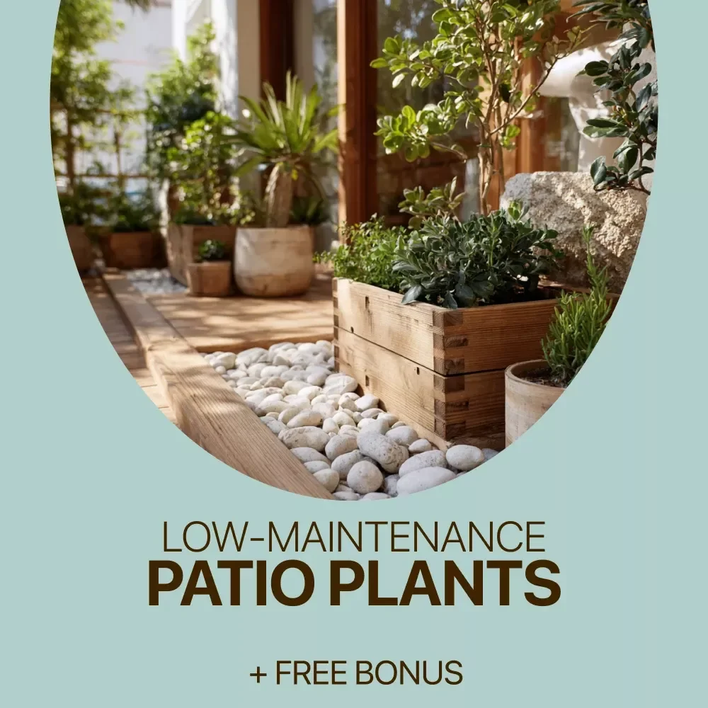Low-Maintenance Patio Plants: Your Easy Care Checklist | Patio Plants Low Maintenance Digital Checklist for Stress-Free Outdoor Spaces